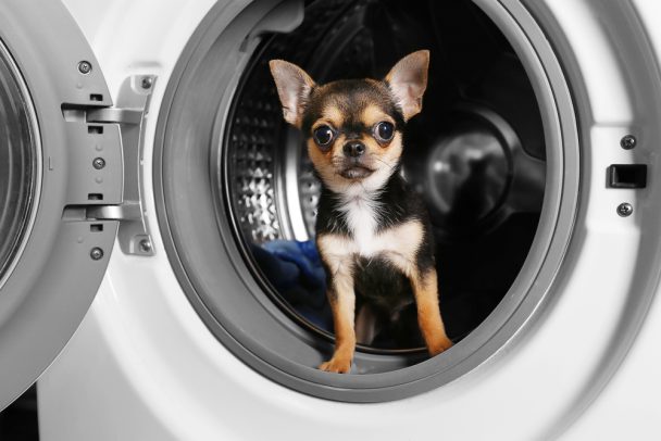 Storing Appliances
