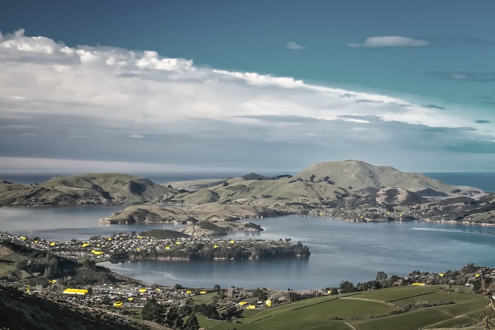 Moving To Dunedin Pros And Cons National Storage