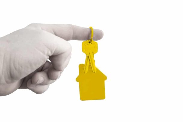 Real Estate Agent