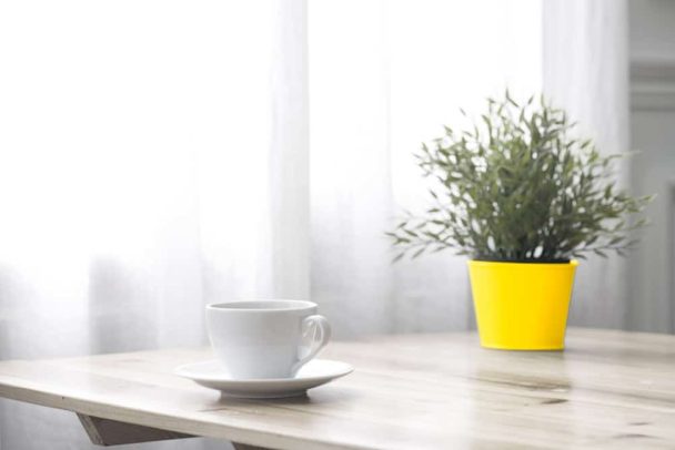 Feng Shui Concept