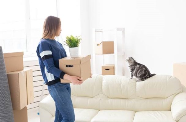 Moving with a Cat